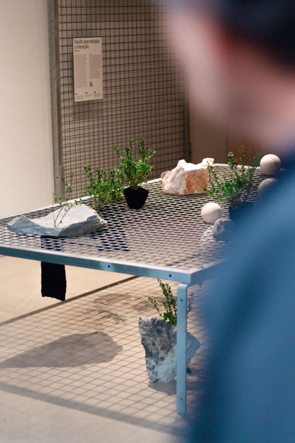 Photo by Antônio Frederico Lasalvia